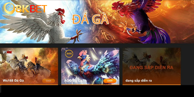 2 sảnh cược chọi kê nổi tiếng trên nhà cái