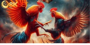 Đá Gà Cựa Dao Hấp Dẫn Và Kịch Tính Với Chiến Lược Lợi Hại