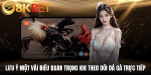 Đá Gà Trực Tiếp - Bắt Trọn Từng Khoảnh Khắc Cá Cược Tại 8KBET