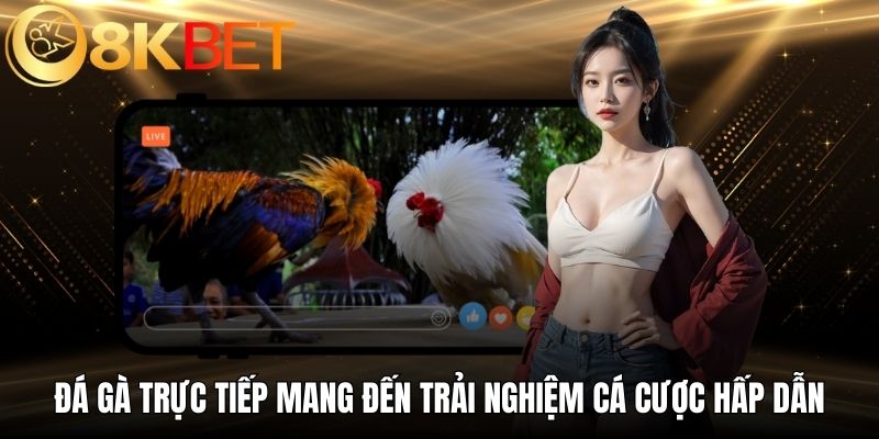Đá gà trực tiếp mang đến trải nghiệm cá cược vô cùng hấp dẫn